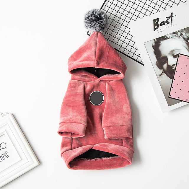 Winter Warm Cat Dog Hooded Coat Soft Pet Clothes for Small Dogs Cats Yorkshire Chihuahua Pullovers Pets Clothing manteau chien
