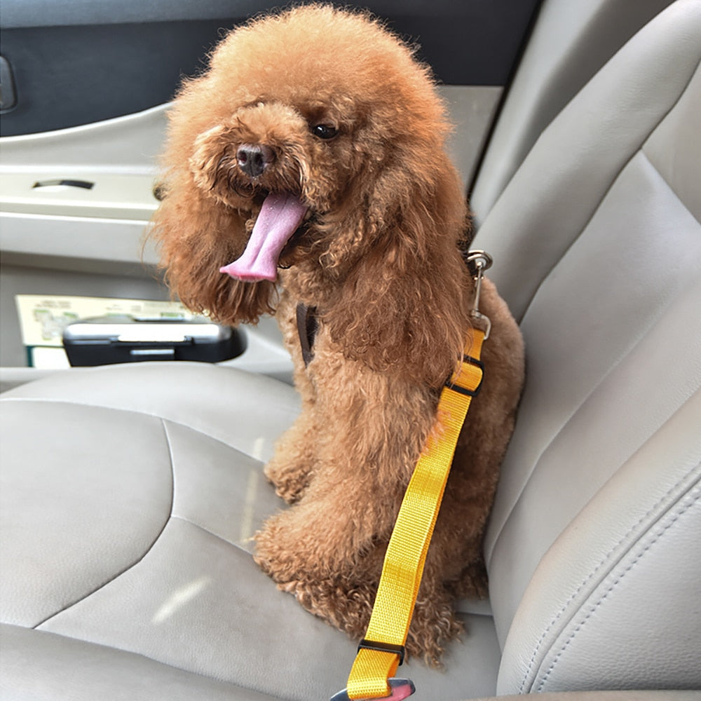 Pet adjustable Vehicle Seat Belt Collar Harness