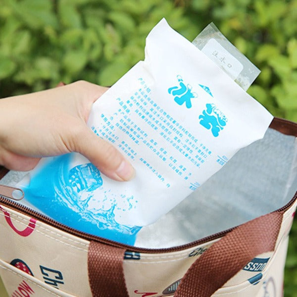 10 Pieces Dry Cold Ice Pack Cooler Bag