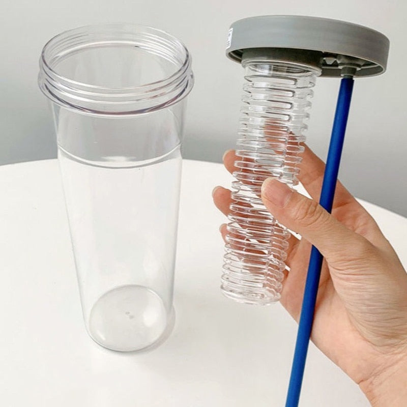 Fruit Filter Water Bottle with Straw
